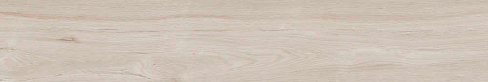 CLI-2012022SP-06M