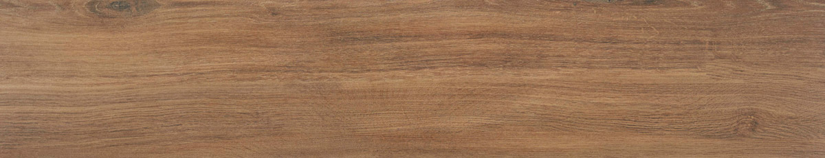SHO-2312028SP-25M