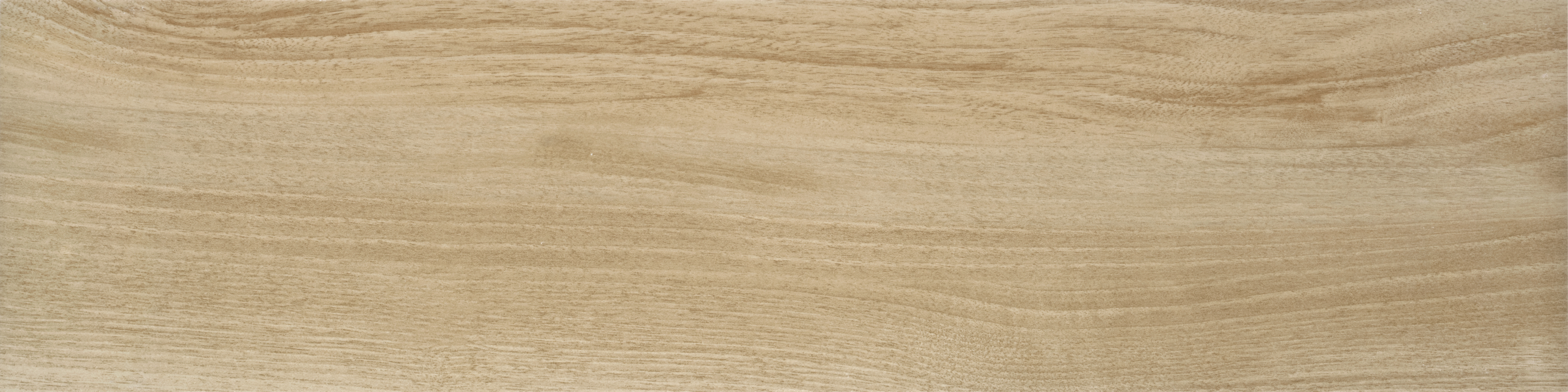 FCH-208013TW-13M