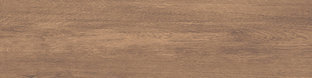 SNY-208013TW-25M