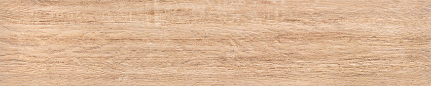 TAA-157513TW-02M