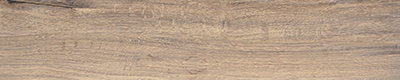 TAA-157513TW-02TM