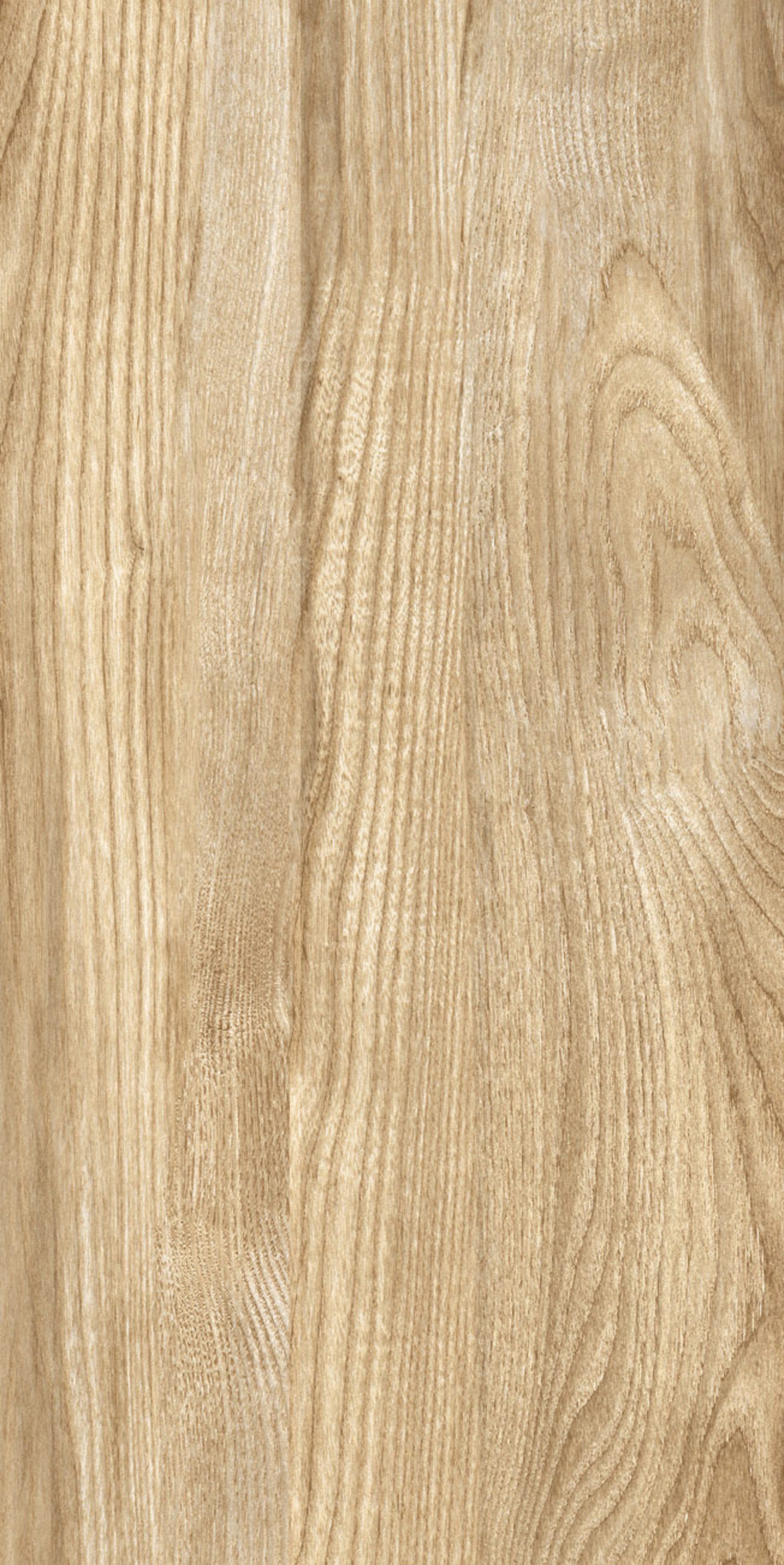 KIM-306034TW-12M