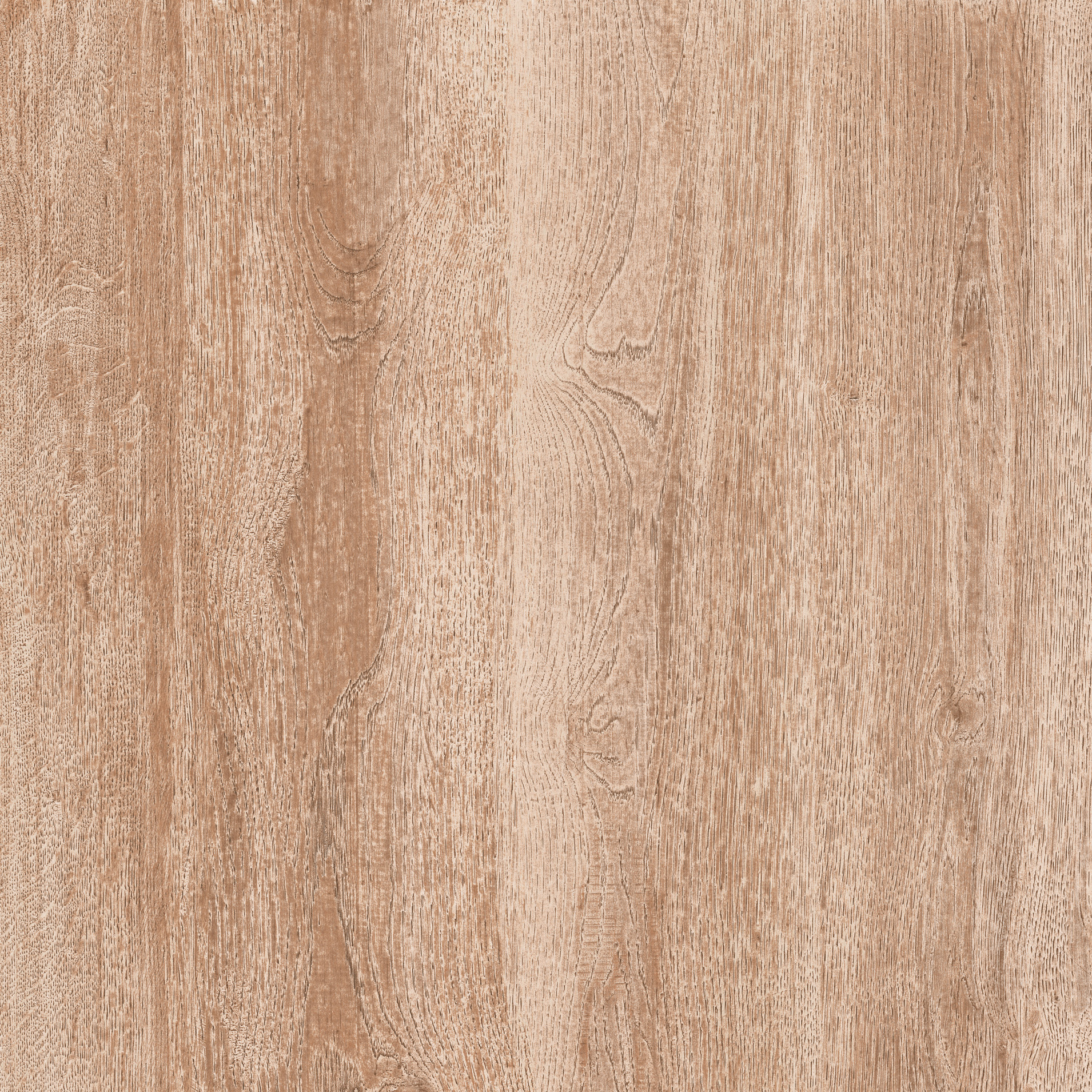 KIM-606034TW-19M