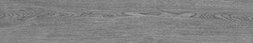 EDN-2012013VN-51M