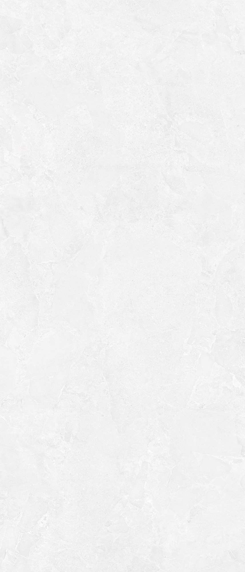 CIS-12028013SP-13P